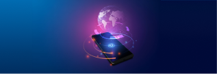 Offshore Development Services