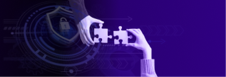 Software Maintenance and Support Solutions